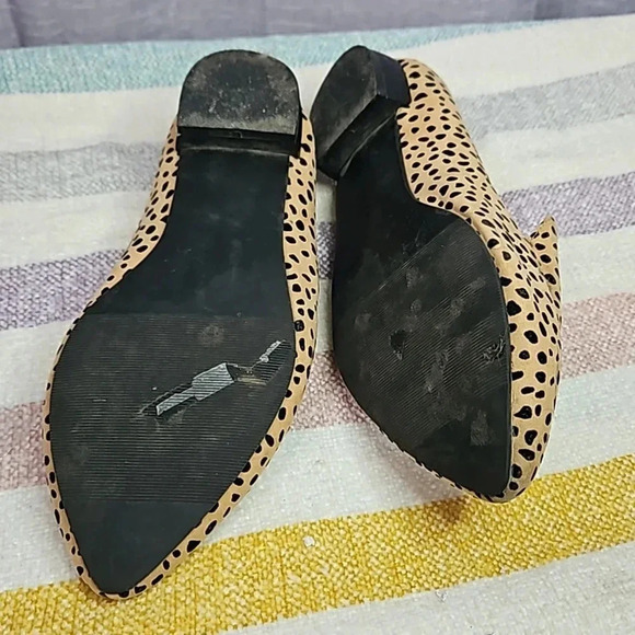 JUST FAB SHOES - Picture 7 of 8